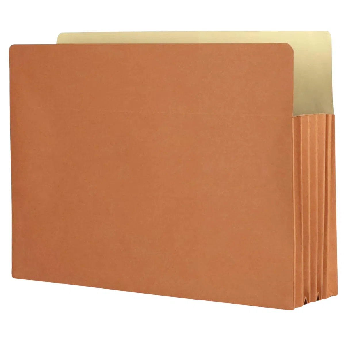 The File King Fächermappe für Akkordeons, Briefgröße, Box mit 50 RedRopes, 13,3 cm Erweiterung, zum Aufbewahren und Organisieren von Dokumenten, Aufzeichnungen an einem Ort, spart Zeit beim Suchen