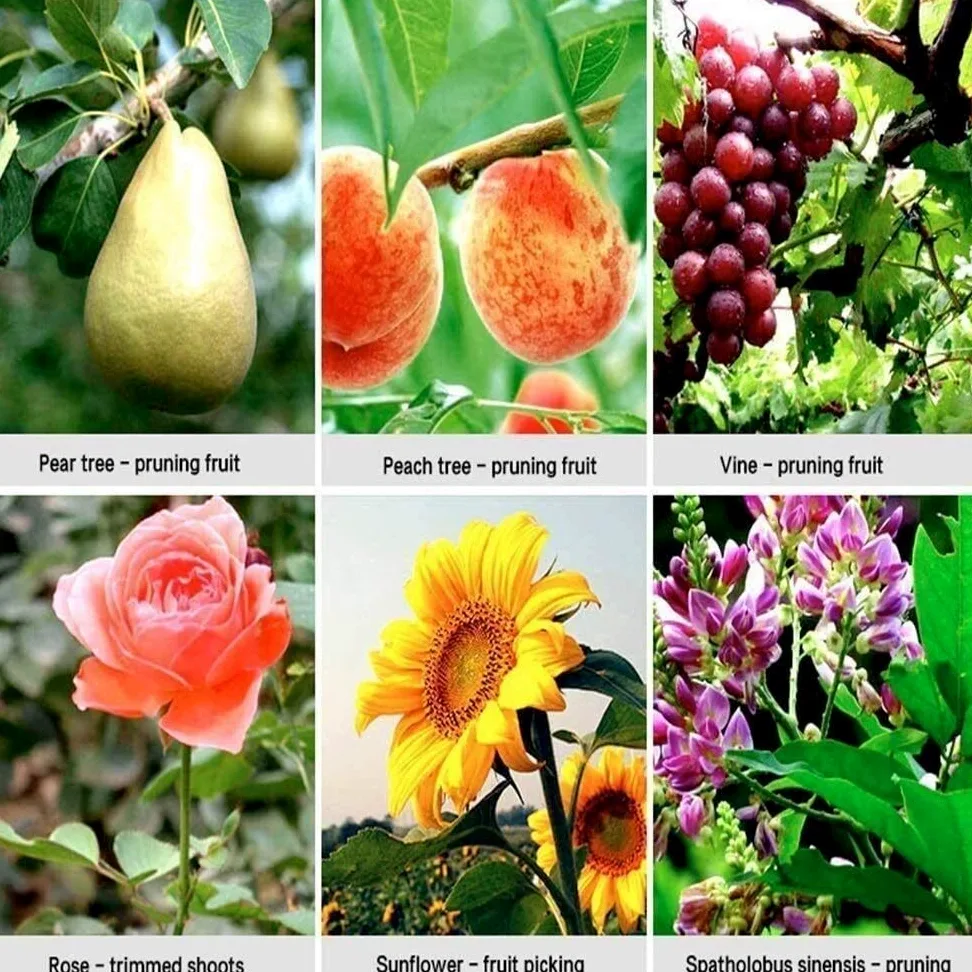 Gartenschere für die Gartenarbeit, schwere Gartenschere, Gartenschere – professionelle, fortschrittliche Gartenschere, Starke Federn, Schere für Jede Familie
