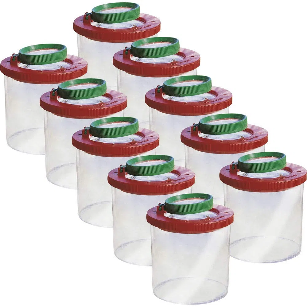 Becher Lupe Becherlupe Lupenbecher Lupendose Maxi 20 Stück Top Qualität