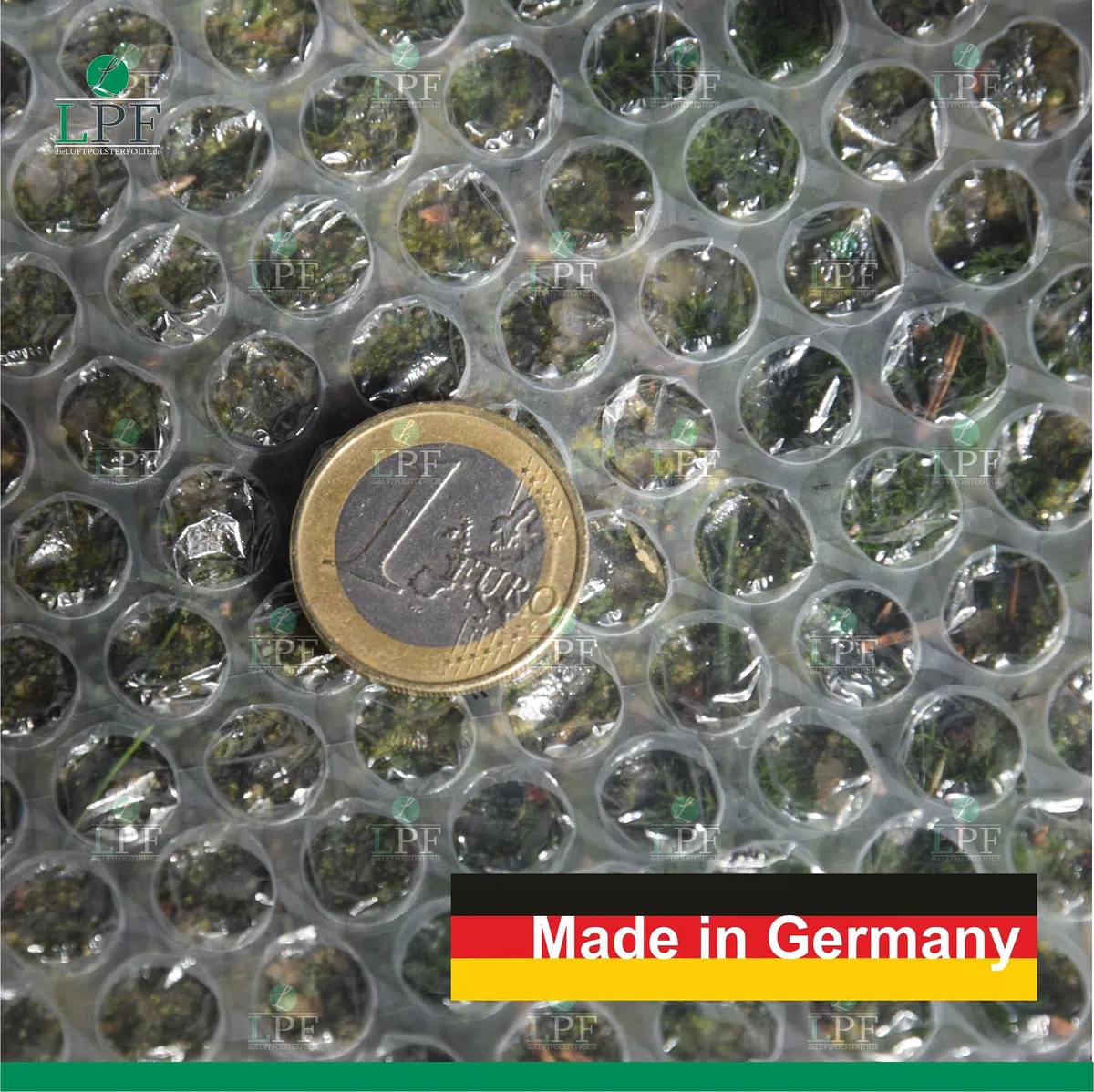 dieLUFTPOLSTERFOLIE Luftpolsterfolie 2x 50cm x 100m Verpackungsfolie Luftpolster Rolle Blisterfolie Noppenfolie Polsterfolie Umzug 1m Knallfolie Polstermaterial Versand Transparent Umzugfolie 100