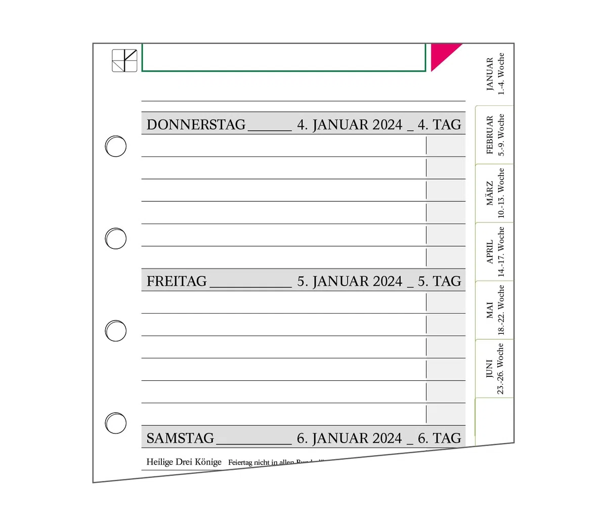 Terminplaner Ringbuch Team-Line aus Leder/Wochenplaner/Tagesplaner für 2024-13-mm-Ringmechanik - Griffecke blau