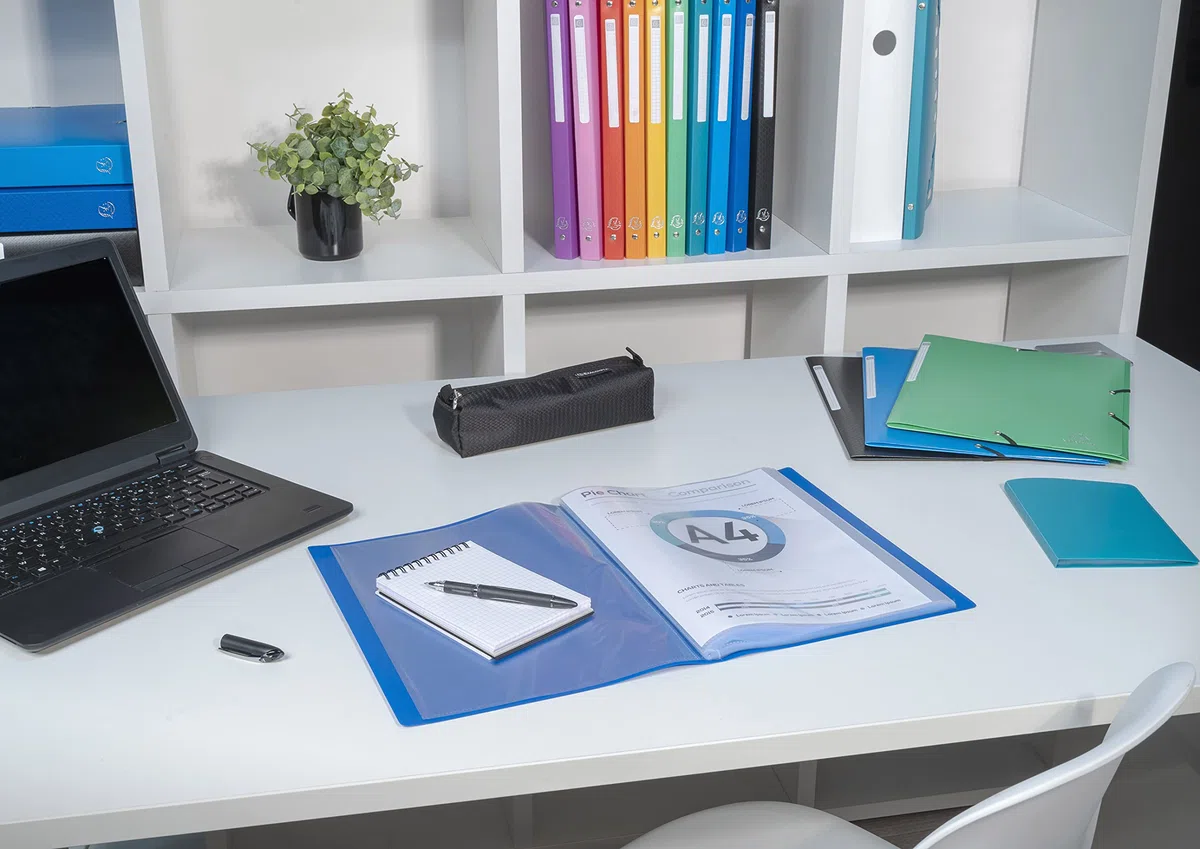 Exacompta 8840E 10er Pack Sichtmappe Opak aus blickdichtem Kunststoff für DIN A4 mit 40 Kristallhüllen perfekt für die Schule und das Büro Aktenhülle Prospekthülle farbig sortiert