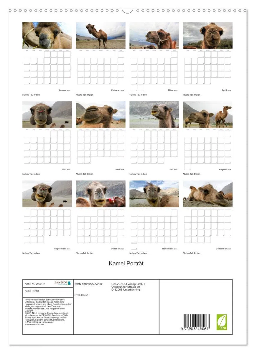 Kamel Porträt (hochwertiger Premium Wandkalender 2026 DIN A2 hoch), Kunstdruck in Hochglanz: Der etwas andere Tierkalender jetzt als Familienplaner (CALVENDO Tiere)