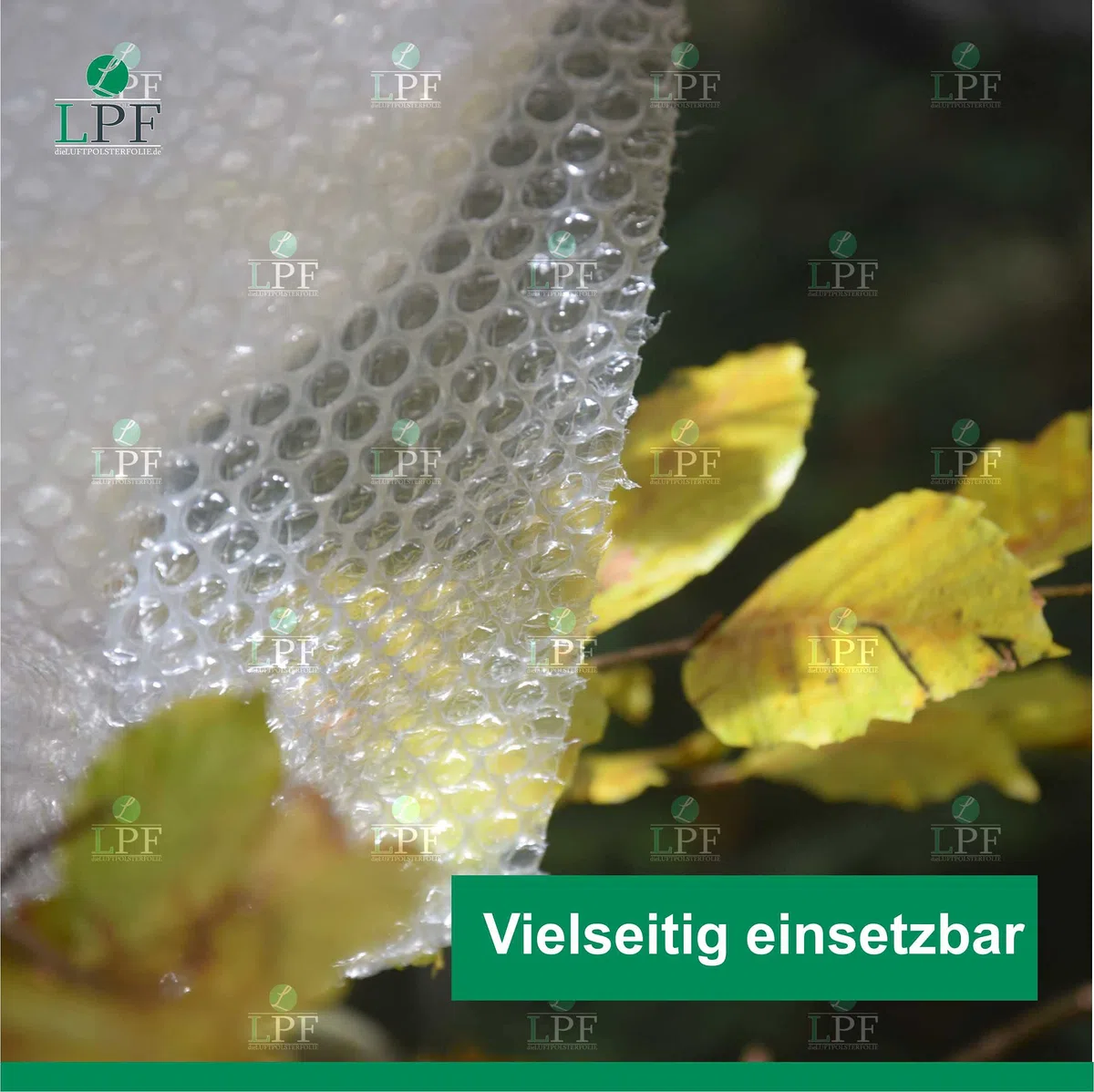dieLUFTPOLSTERFOLIE Luftpolsterfolie 2x 50cm x 100m Verpackungsfolie Luftpolster Rolle Blisterfolie Noppenfolie Polsterfolie Umzug 1m Knallfolie Polstermaterial Versand Transparent Umzugfolie 100