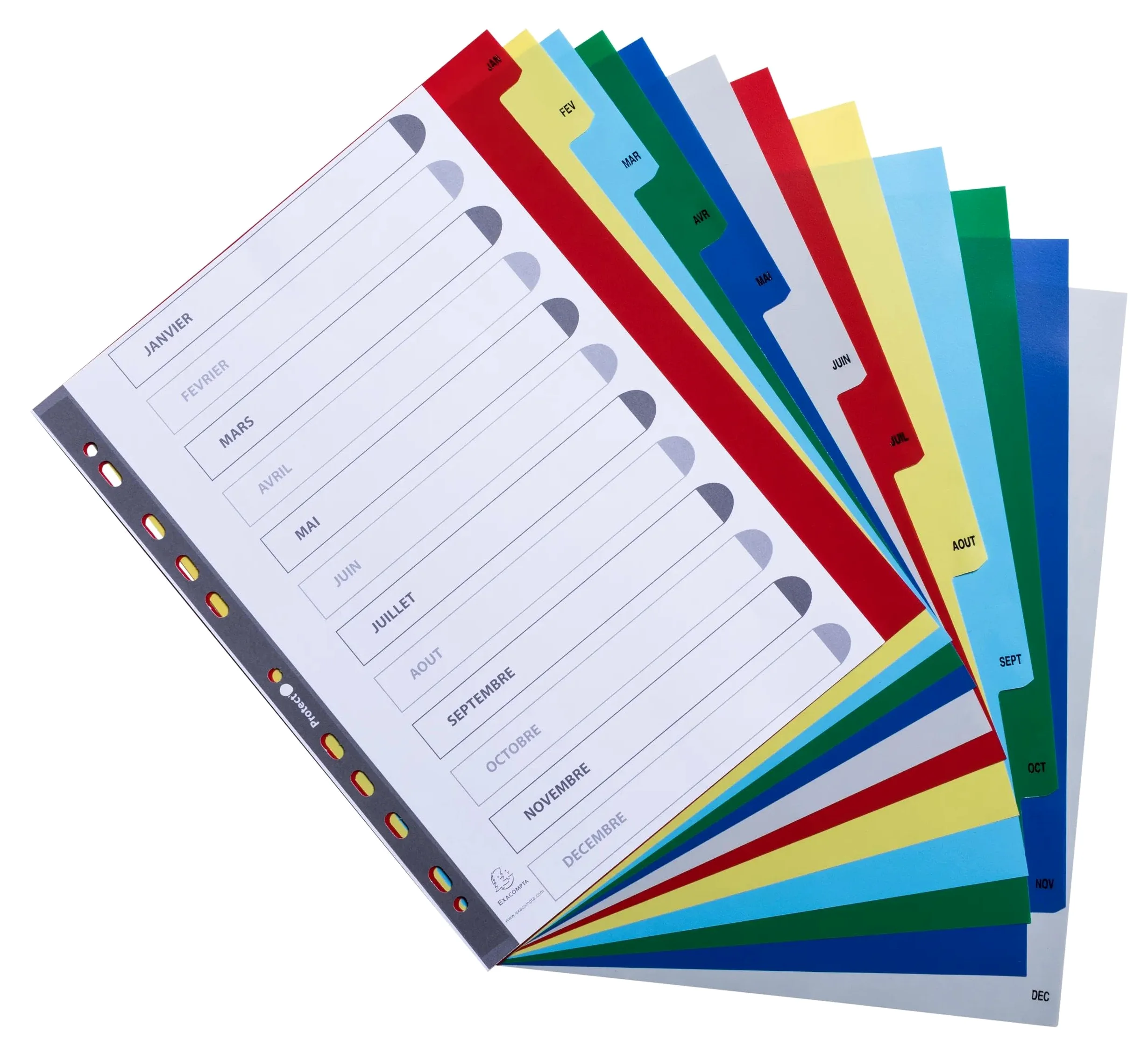 Exacompta 20 Register PP 12 Monatstaben farbig