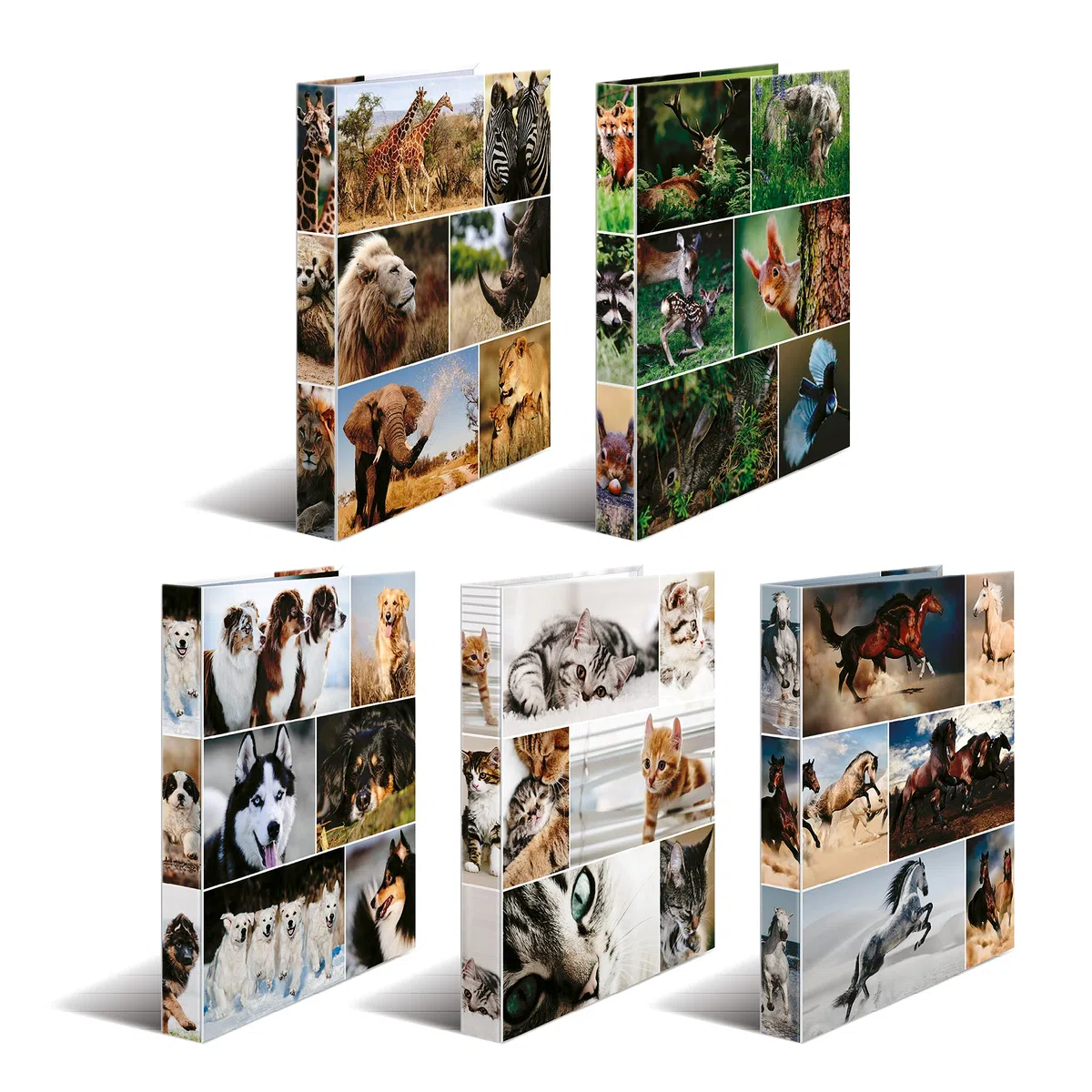 HERMA Ringbücher A4 Tiermotive Set, 10 Stück, schmal, 2 Ringe, 35 mm breit, Kinder Ringordner mit Tier Motiv, bunter Ordner mit Innendruck für Jungen und Mädchen