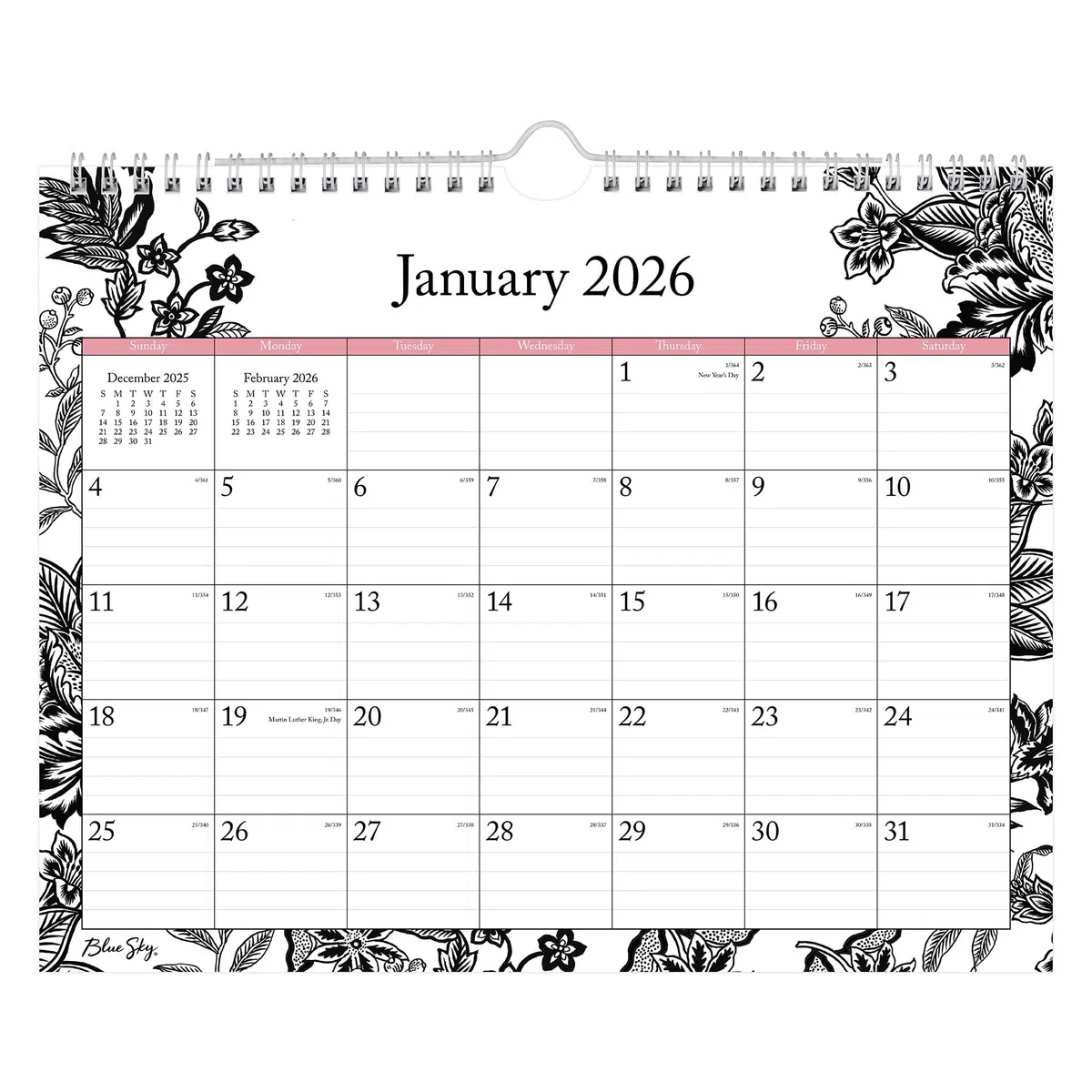 Blue Sky Monats-Wandkalender 2026, 27,9 x 21,5 cm, Analeis, Januar bis Dezember, 100028